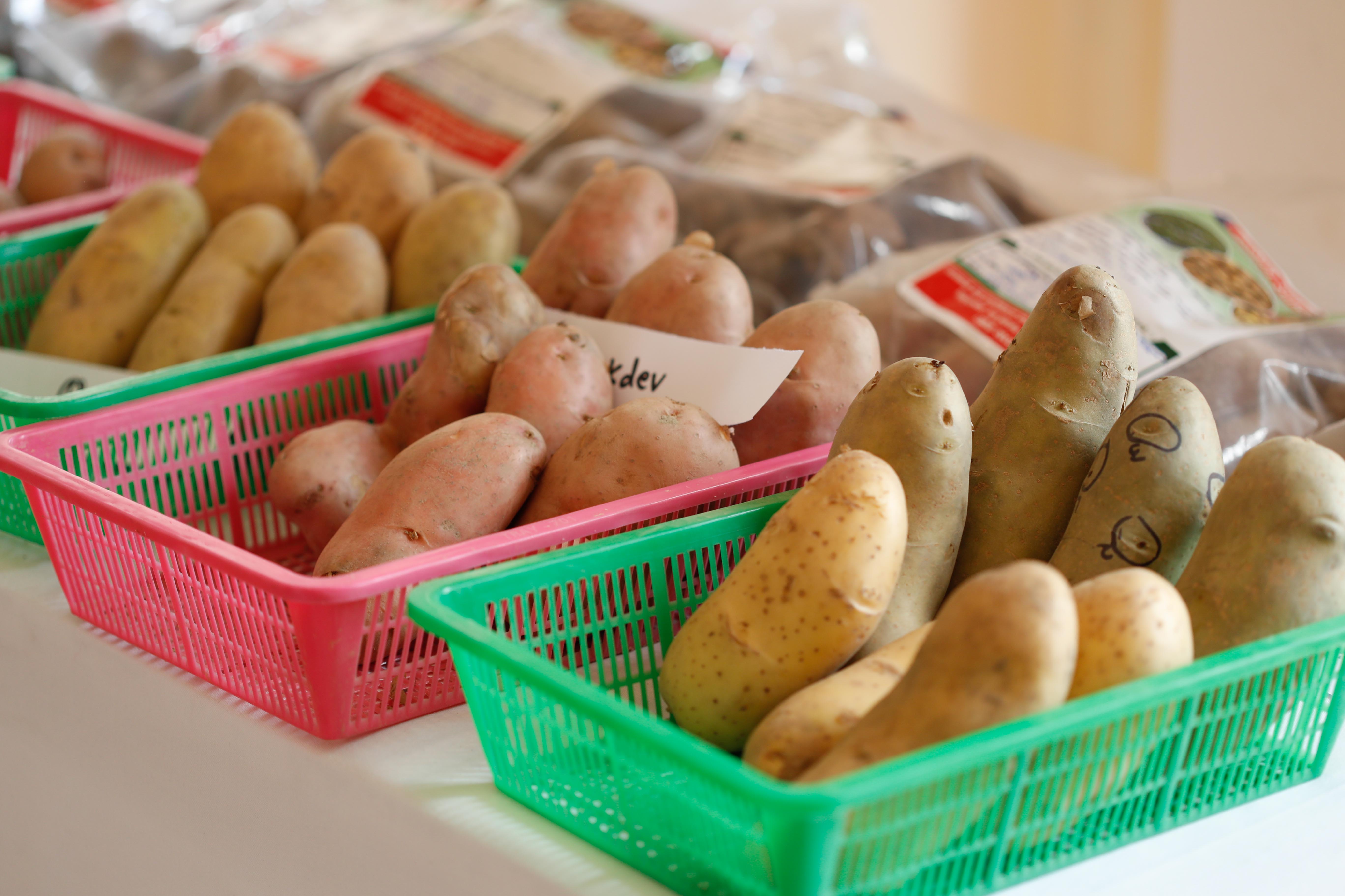 2nd-potato-summit-111-1748586061.jpg