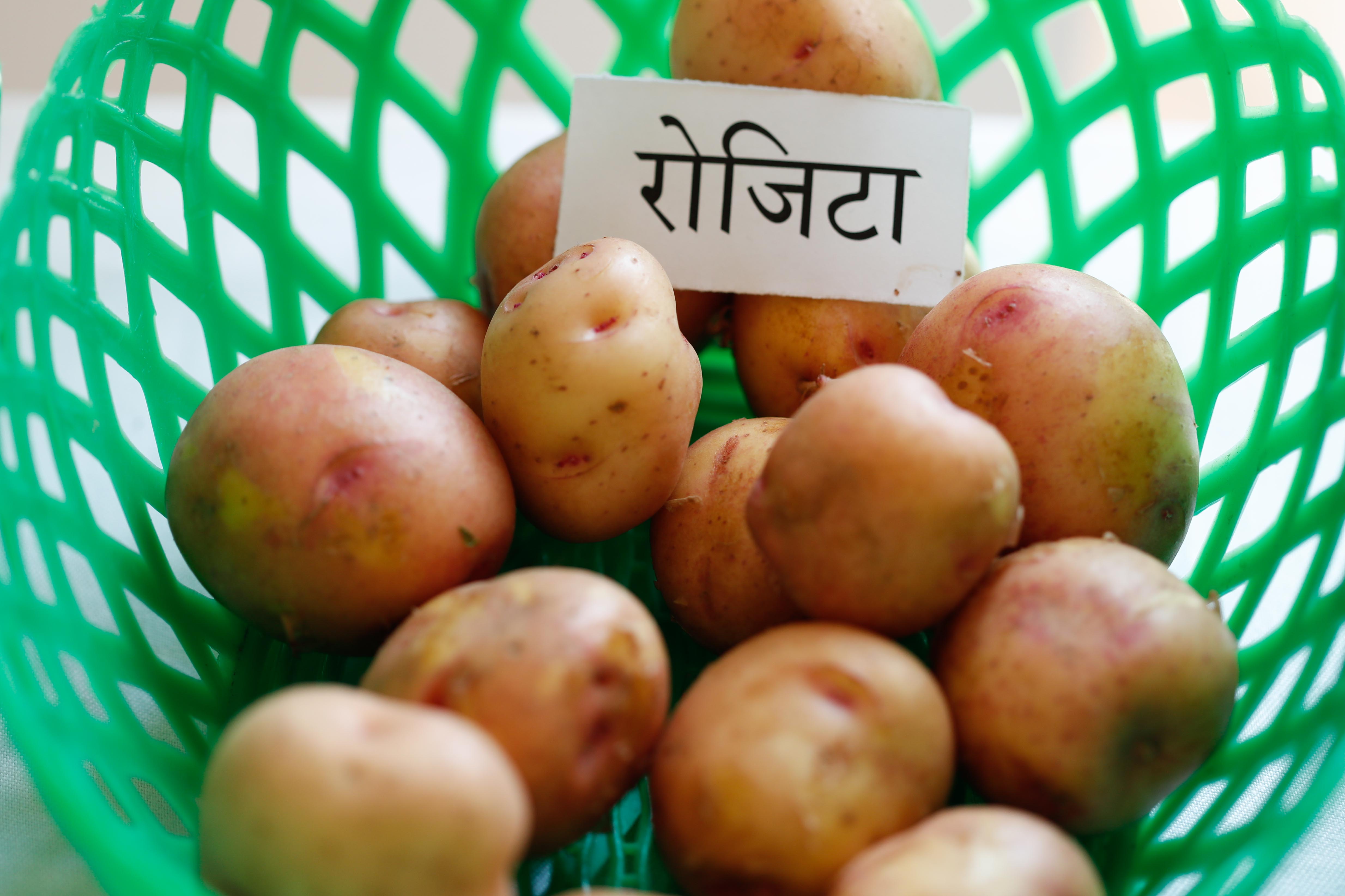 2nd-potato-summit-113-1748586066.jpg