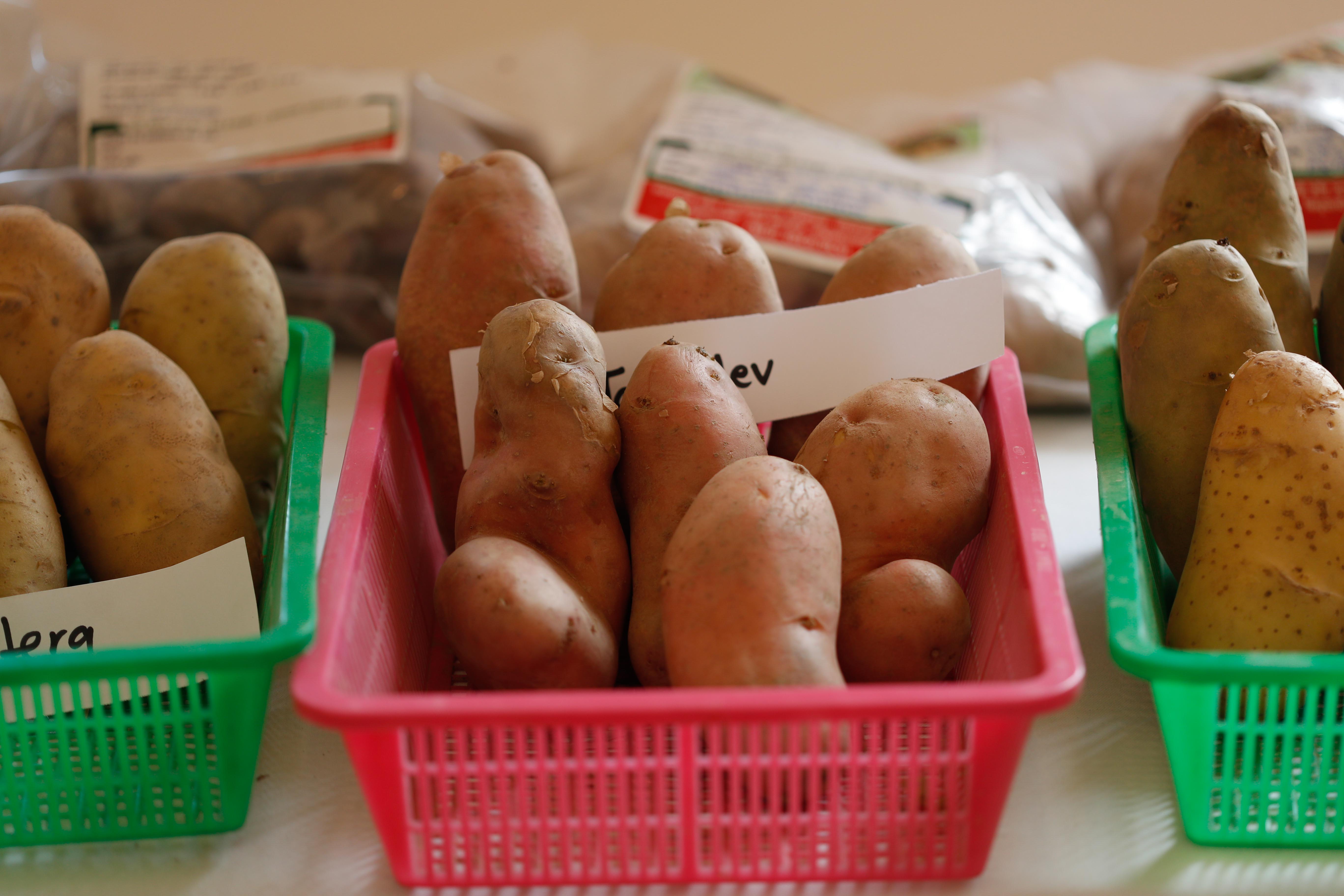 2nd-potato-summit-99-(1)-1748586039.jpg