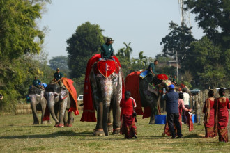 चितवनको सौराहामा १९औँ हात्ती तथा पर्यटन महोत्सव सुरु