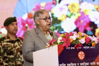 सरकार सुशासन कायम गर्न र चुनावतर्फ उन्मुख छ: प्रधानमन्त्री कार्की