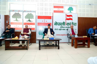 संविधान संशोधन कार्यदल गठन गर्ने कांग्रेस निर्णय