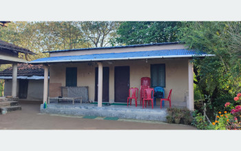 शुक्लाफाँटा निकुञ्जमा सिजनमै आएनन् पर्यटक, होमस्टे रित्तै