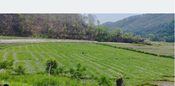 सुरौदी खोला कटान: वर्षौँदेखि चुनावी मुद्दा, पीडितका समस्या उस्तै