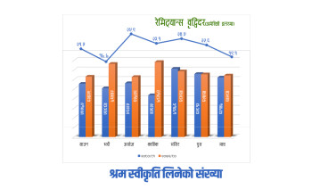 विदेशिने पनि घटे, बिटक्वाइनको मूल्य र वित्तीय उच्छृंखलताको असर रेमिट्यान्समा