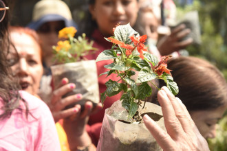 माली तालिम लिन आएका प्रशिक्षार्थी भन्छन्, 'काठमाडौं महानगरपालिकाको तालिमले ठूलो सहयोग पुगेको छ