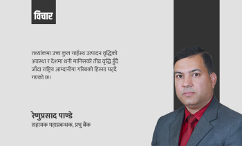विकासः राजनीतिक भ्रम र यथार्थ