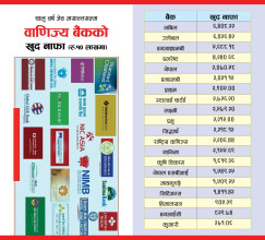 जेठसम्म बैंकको खुदनाफा ६० अर्ब, नबिल र ग्लोबलको ६ अर्ब नाघ्याे