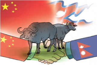 चीनमा मासु निर्यात- अर्थतन्त्रको नयाँ अध्याय