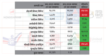 ‘टपटेन’ सिमेन्ट उद्योगको व्यापार आधा खर्ब नाघ्यो, बजार नेता होङ्सीमा १३ प्रतिशत गिरावट