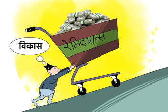 अर्थतन्त्रको विकासमा कसरी लगाउने विदेशी मुद्रा सञ्चिति?