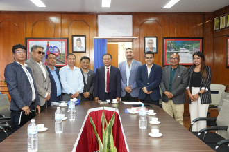 अटोमोबाइल उद्योगलाई राहत दिने सरकारी निर्णयको नाडाले गर्‍यो स्वागत