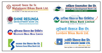 विकास बैंकको खुद नाफा ४५ प्रतिशतले घट्यो, नाफा आर्जनमा गरिमा पहिलो