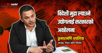 भ्याटको चक्कुले घाइते पर्यटन क्षेत्र उक्साउन सरकारकाे प्रयत्न शुन्य