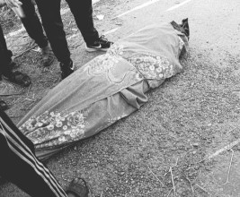 मोरङमा हात्ती आक्रमणबाट एक जनाको मृत्यु