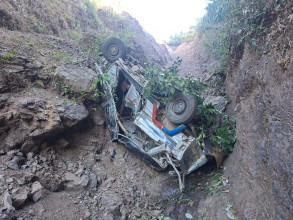 पाल्पामा जिप दुर्घटना, तीन यात्रुको मृत्यु, आठ घाइते