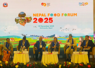 कृषि खाद्य प्रणाली रूपान्तरण गर्न लगानी, नवप्रवर्तन र युवा नेतृत्वमा जोड