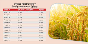 जीडीपीमा कृषिको हिस्सा खुम्चिँदै, दश वर्षमा ६ प्रतिशतले गिरावट