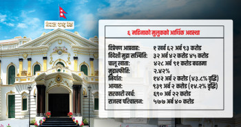 विप्रेषण र सञ्चितिको चमक : तर अर्थतन्त्रको वास्तविक स्वास्थ्य कस्तो छ?