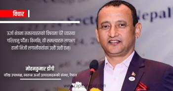 ‘उर्जा विकास मार्गचित्र र वास्तविकता बीच खाडल छ’