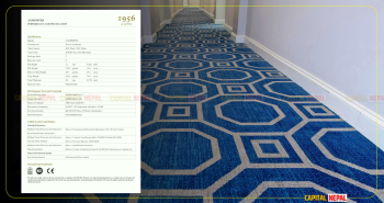 अवैध भित्रिएका उलन कार्पेट तारे होटलमा छ्यापछ्याप्ती, कर्मचारी ‘सेटिङ’मा प्रणालीबाटै नेपाल प्रवेश