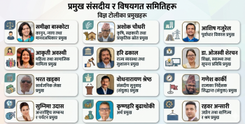 प्रतिनिधिसभाका १२ विषयगत समितिले पाए नयाँ नेतृत्व, १२ मध्ये १० जना निर्विरोध सभापति चयन