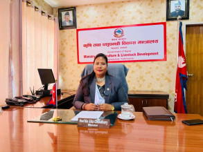 चिया बजारको पहिचान र युवा तथा महिला उद्यमीलाई प्रोत्साहन दिइने छः मन्त्री चौधरी