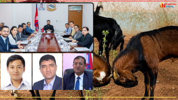 बर्डफ्लुको बहानामा खसीको मासुमा चर्को मूल्यवृद्धि, उपभोक्ताको भान्सा मारमा-मुकदर्शक सरकार