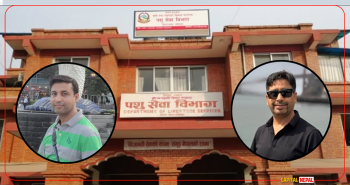 पशु सेवा विभागले भन्यो 'नेपालमा अब बर्डफ्लुको डर छैन्, ढुक्कले सेवन गर्दा हुन्छ', किसानमा फेरि आशाको सञ्चार