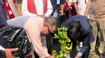 विश्व वातावरण दिवसमा ग्लोबल आइएमई बैंकद्वारा १ हजार कागतीका विरुवा रोपण