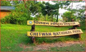 चितवन राष्ट्रिय निकुञ्ज घुम्न आउने आन्तरिक पर्यटक बढे