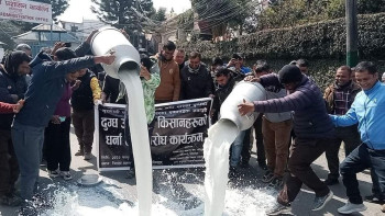 ललितपुर जिल्ला प्रशासन अगाडि किसानले पोखे दूध