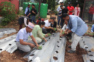 बाँझो जग्गामा सयपत्री र मखमलीका ९ हजार बिरुवा रोप्दै विदुर