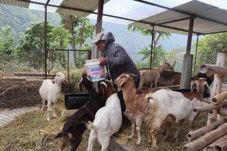 संविधानसभा सदस्य श्रीस कृषि उद्यममा