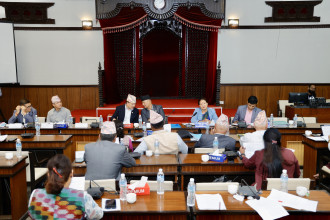 भूमि विधेयकका संशोधित दफा अध्ययन गर्न सांसदलाई दुई दिनको समय