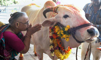 आज गोवर्द्धन पूजाः यस्तो छ, धार्मिक विश्वास