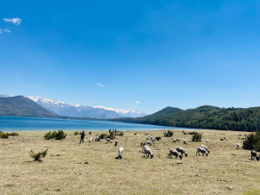 रारा ताल परिसरको मनमोहक प्राकृतिक सौन्दर्य