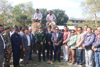 खगेन्द्र र रुद्रकली लिन भैरहवा आइपुग्यो कतारको जहाज