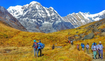 हिमालबाट आरोहणबाट हालसम्म ७७ करोड रोयल्टी संकलन