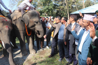 रुद्रकली र खगेन्द्रप्रसाद भैरहवा पुगे, भोलि कतार उड्दै