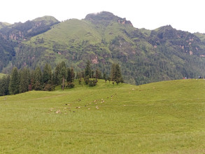 जुम्लाको धिमीचौर पर्यटकको रोजाइमा 