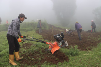 तारे होटलमा सिस्नुको माग बढेपछि व्यावसायिक रुपमा सिस्नुखेती गर्दै तेह्रथुमका किसान 
