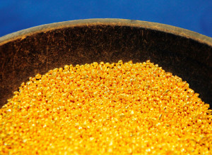 सुनको मूल्यमा विश्वव्यापी गिरावट, ऋण लिएर लगानी गरेका नेपाली लगानीकर्ता तनावमा