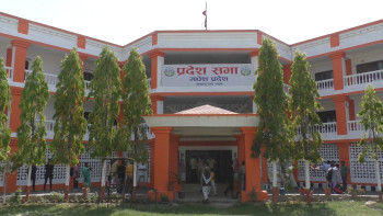 मधेस प्रदेशमा नसर्ने रोग पहिचान गर्न एक महिने अभियान सुरु