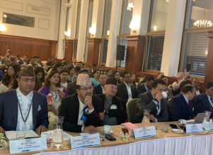 नागरिकतासम्बन्धी विधेयक अघि बढाउन एनआरएनएको माग