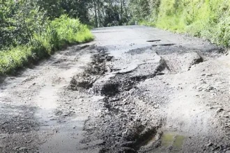 कालोपत्रे एक महिनामै उप्कियो, सडकमै उम्रियाे झार
