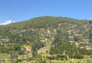 काभ्रेमा डेढ दशकपछि ब्युँताइयो सुन्तला–हाइकिङ, कृषि–पर्यटन बजार विस्तारको लक्ष्य