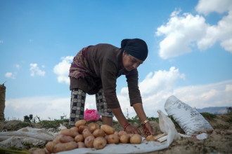 नेपालमा मनाइयो अन्तरराष्ट्रिय आलु दिवस, विश्वभर पाँच हजार प्रजातिका आलु उत्पादन