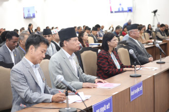 प्रतिनिधिसभामा बजेटमाथि मन्त्रालयगत छलफल सुरु