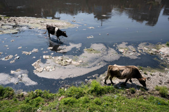 संग्लिइनन् बागमती, १८ अर्बको परियोजनामाथि प्रश्न (शब्द/तस्बिरसहित)